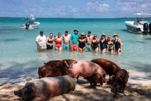 Picture of Jess Retreat Crew Smiling at the Camera While Swimming with Pigs at the Beach | Real Estate Events | The Listings Lab